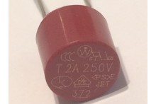 2A TIME DELAY RADIAL MINIATURE WIRE ENDED FUSE TR5 (x2) fbe4c9